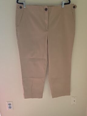 Talbots Beige Chino Pants